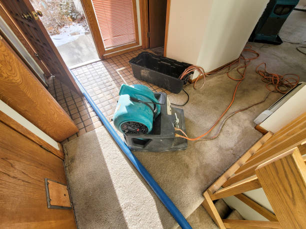 Best Fire Damage Restoration  in Mather, CA