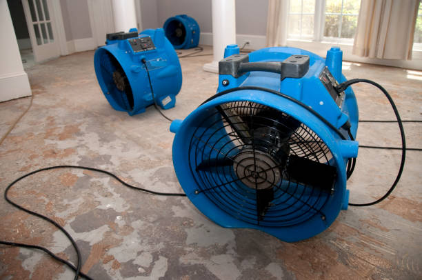Best Water damage restoration mold remediation  in Mather, CA