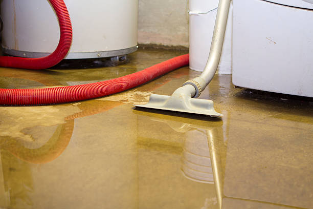 Best 24-hour water damage restoration  in Mather, CA