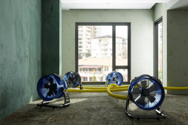 Best Residential water damage restoration  in Mather, CA